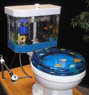 inodoro_pecera_aporte_de_carmenchu